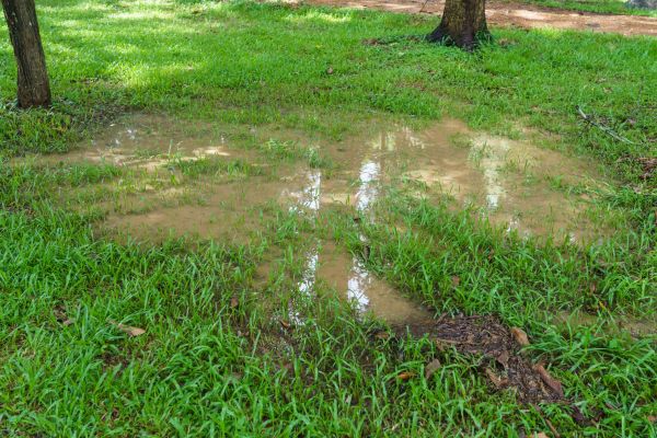 Storm Water Drainage Service in Huntington Station