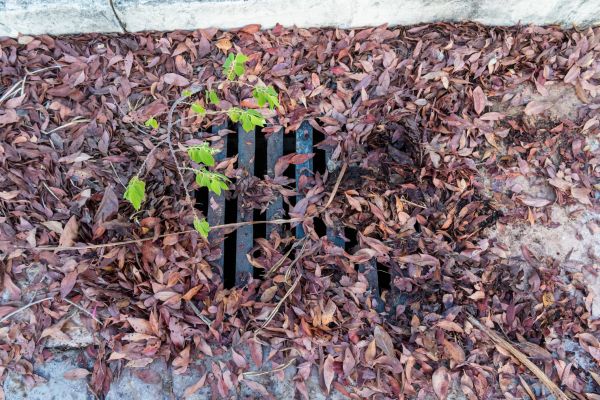 Yard Drain Unclogging in Huntington Station