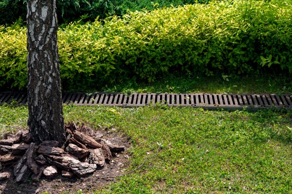 Wet Yard Drainage in Huntington Station