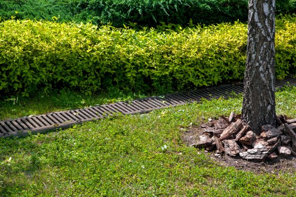 Residential Landscape Drainage in Huntington Station